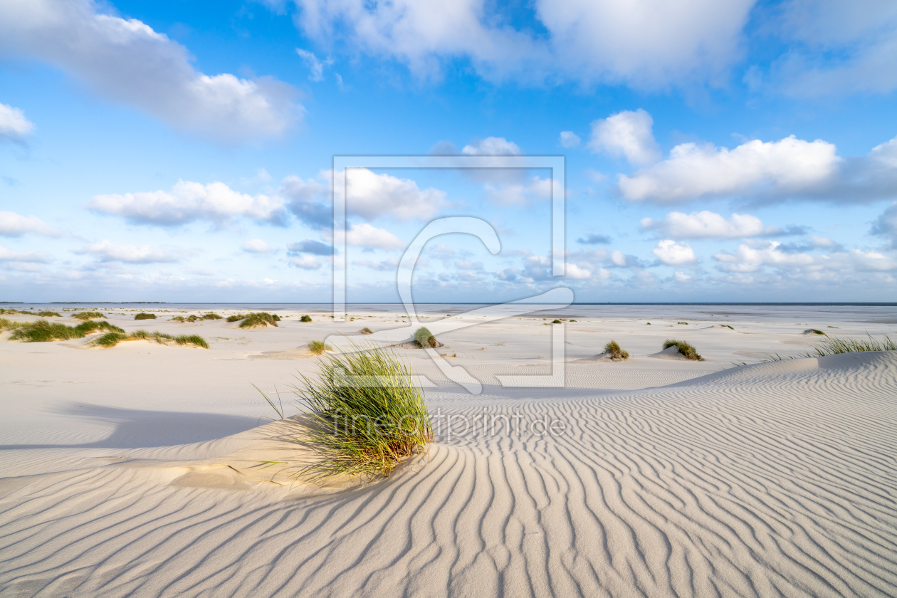 Bild-Nr.: 12623437 Dünenlandschaft im Sommer erstellt von eyetronic