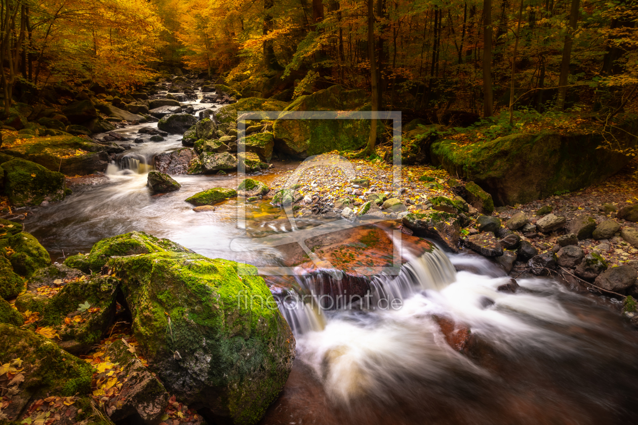 Bild-Nr.: 12629073 Der Herbst kommt ins Ilsetal erstellt von Steffen Henze