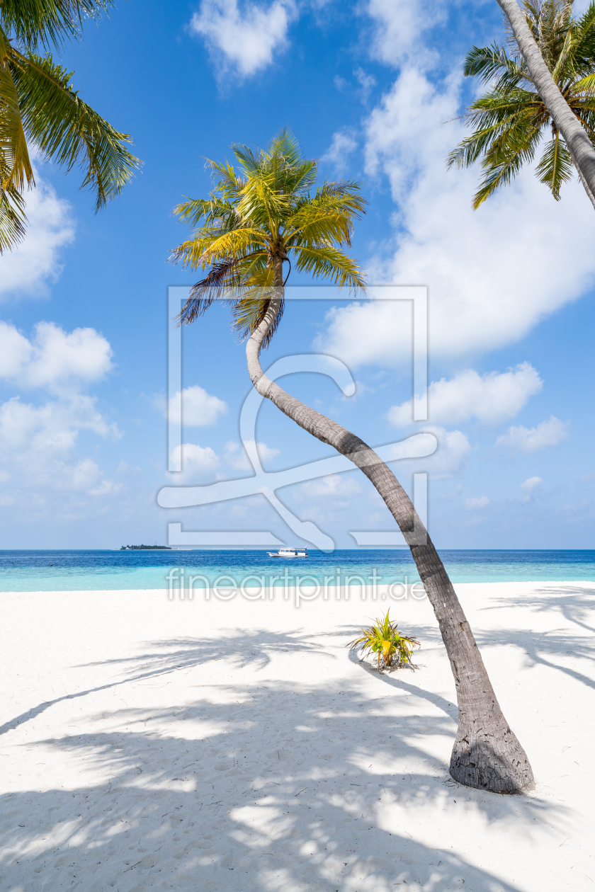 Bild-Nr.: 12629538 Kokospalme am Strand auf den Malediven erstellt von eyetronic