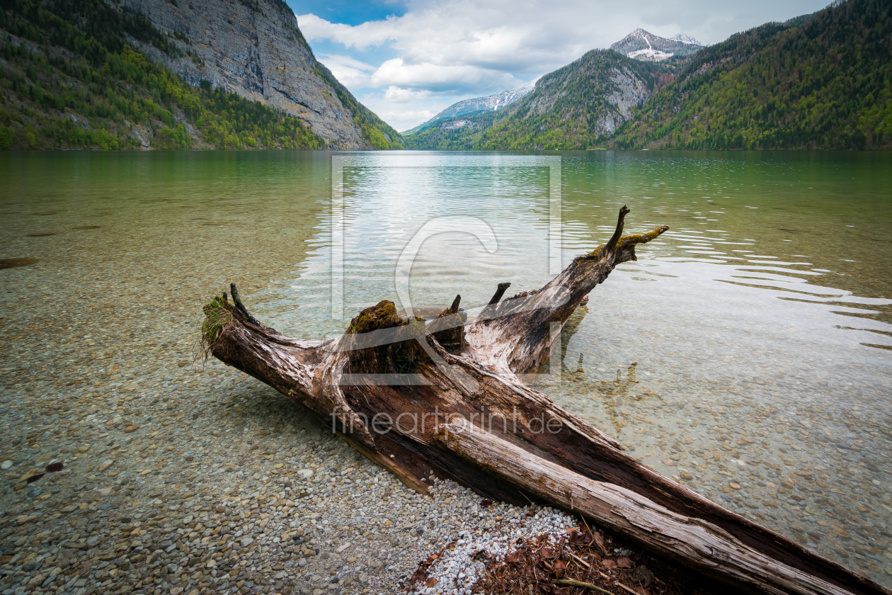 Bild-Nr.: 12631087 Halbinsel Hirschau am Königssee erstellt von Martin Martin Wasilewski