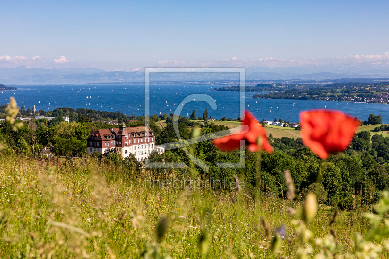 Bild-Nr.: 12636806 Schloss Spetzgart bei Überlingen am Bodensee erstellt von dieterich