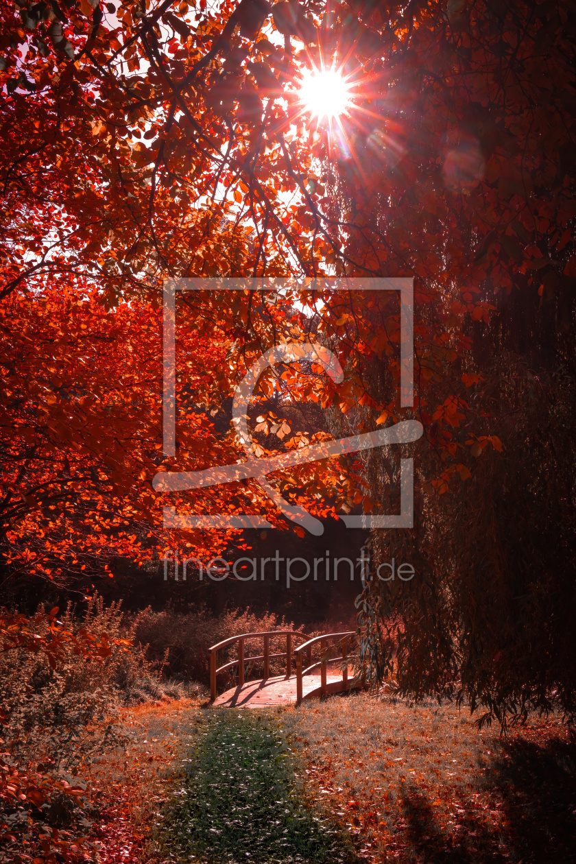 Bild-Nr.: 12637197 Herbstweg erstellt von Pixelboy