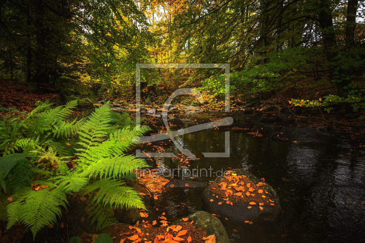 Bild-Nr.: 12638366 Elendstal erstellt von Steffen Gierok