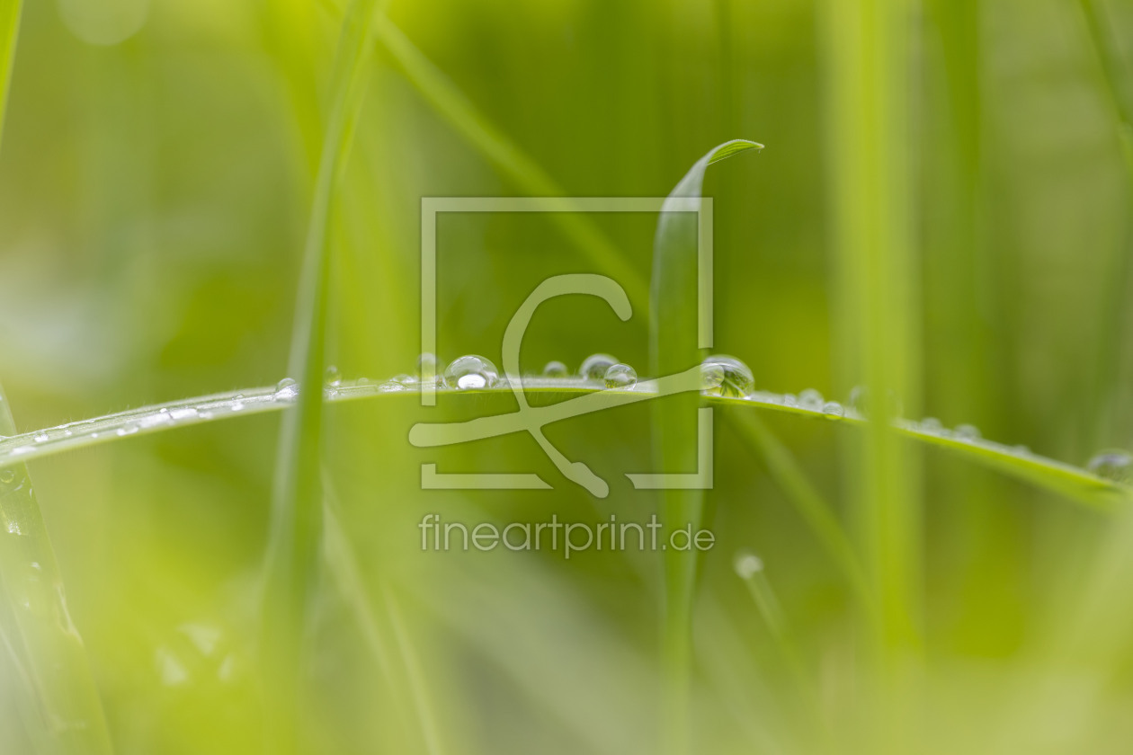 Bild-Nr.: 12644098 Mystic erstellt von Einklang