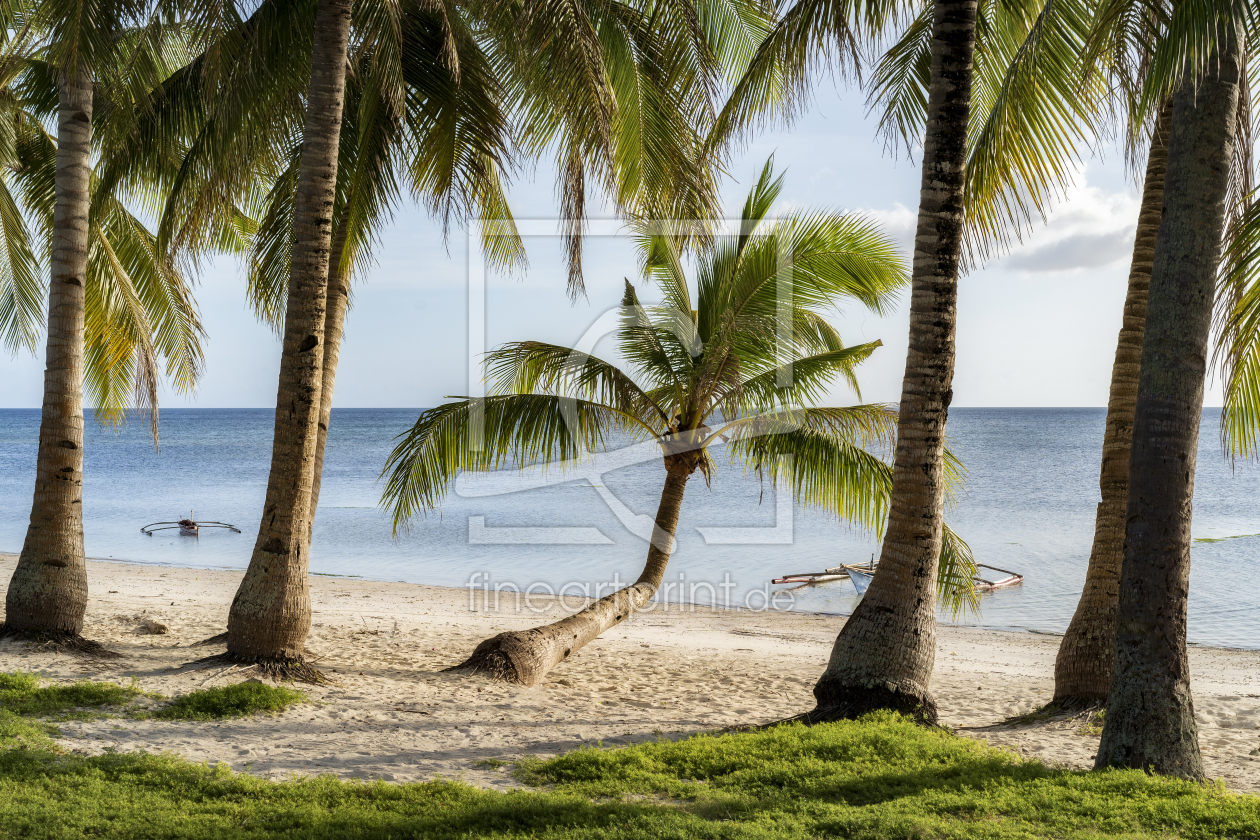Bild-Nr.: 12647996 Philippinen Strand mit Palmen Siquijor erstellt von Pahmeier-Photography