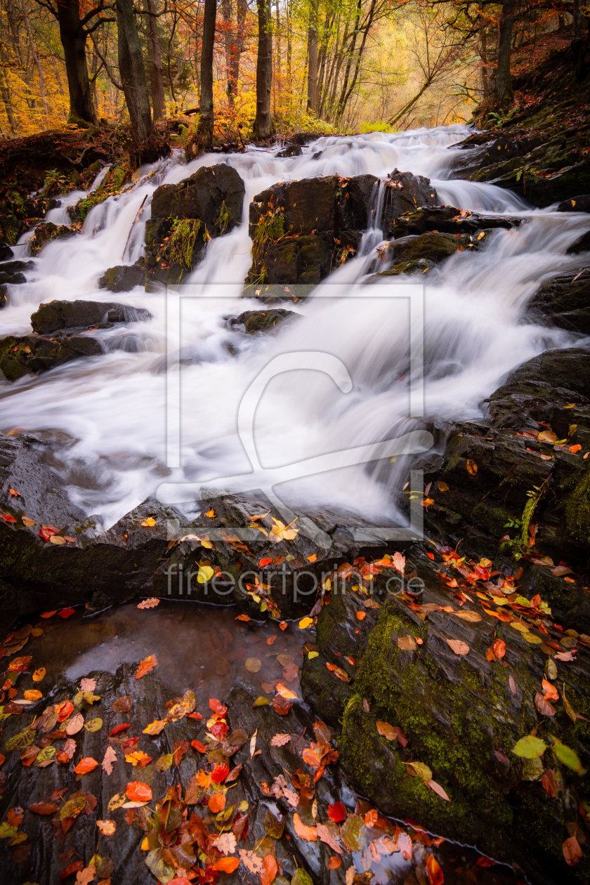 Bild-Nr.: 12656869 Selkefall im Herbst erstellt von Martin Martin Wasilewski