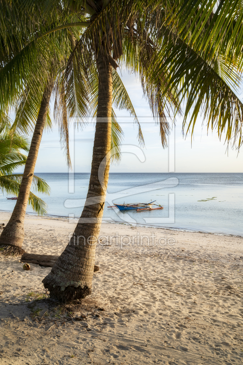Bild-Nr.: 12656986 Palmen am Strand Philippinen Insel Siquijor erstellt von Pahmeier-Photography