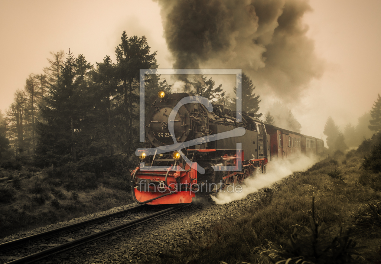 Bild-Nr.: 12664067 Brockenbahn am Goetheweg im Harz  erstellt von Steffen Henze