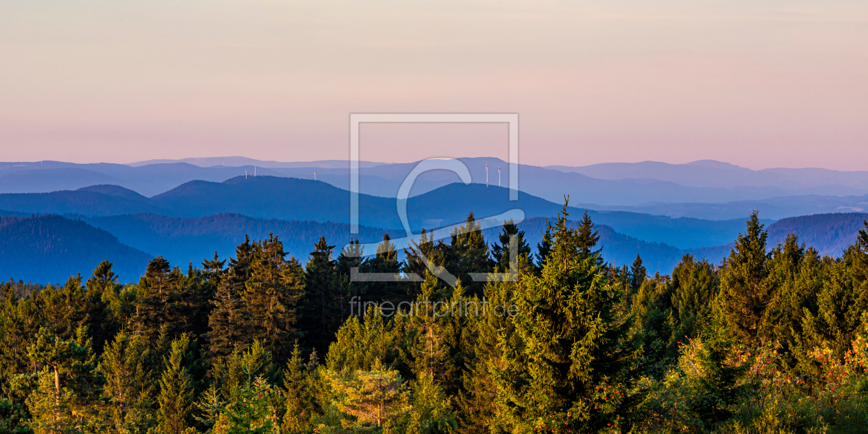 Bild-Nr.: 12667175 Blick vom Schliffkopf im Nationalpark Schwarzwald erstellt von dieterich