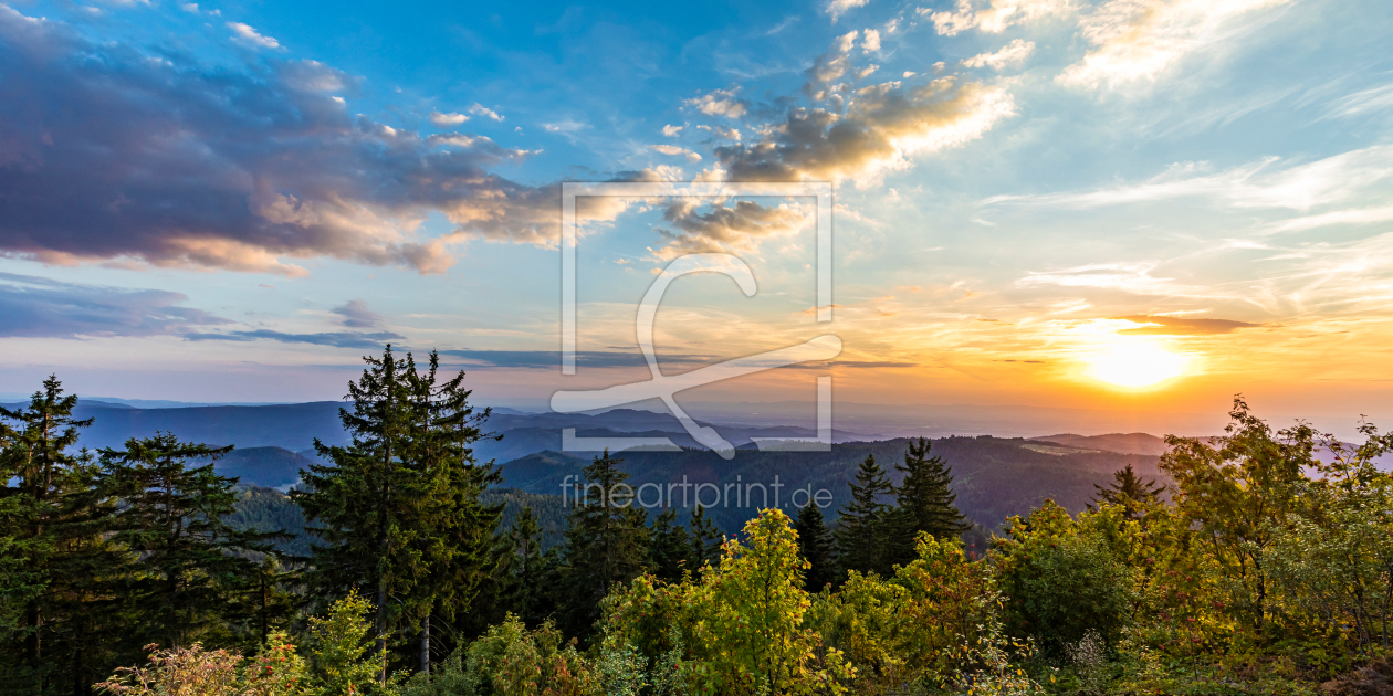 Bild-Nr.: 12671045 Nationalpark Schwarzwald beim Schliffkopf erstellt von dieterich