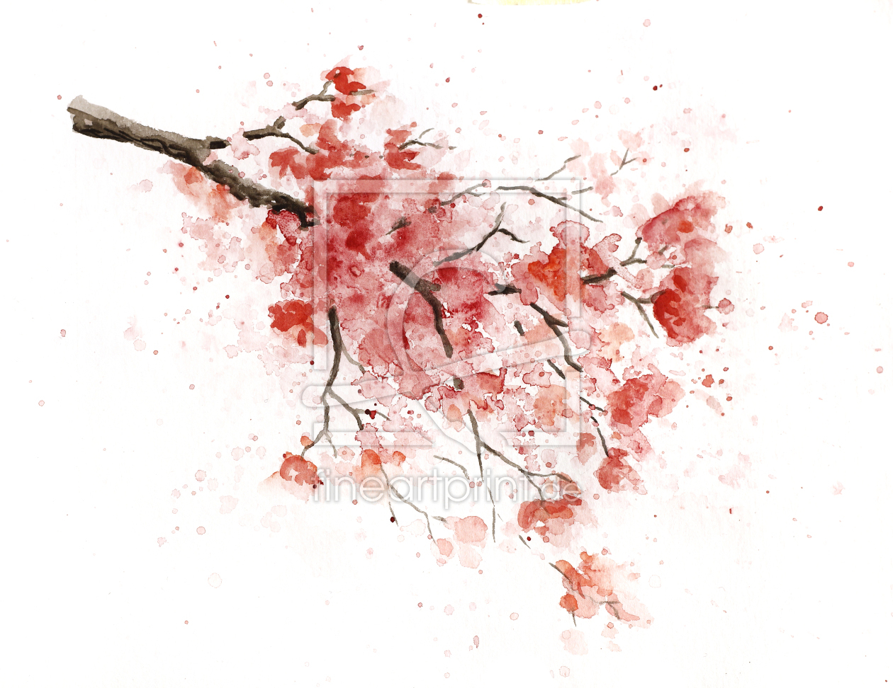 Bild-Nr.: 12681707 Kirschblütenzweig erstellt von nadine conrad