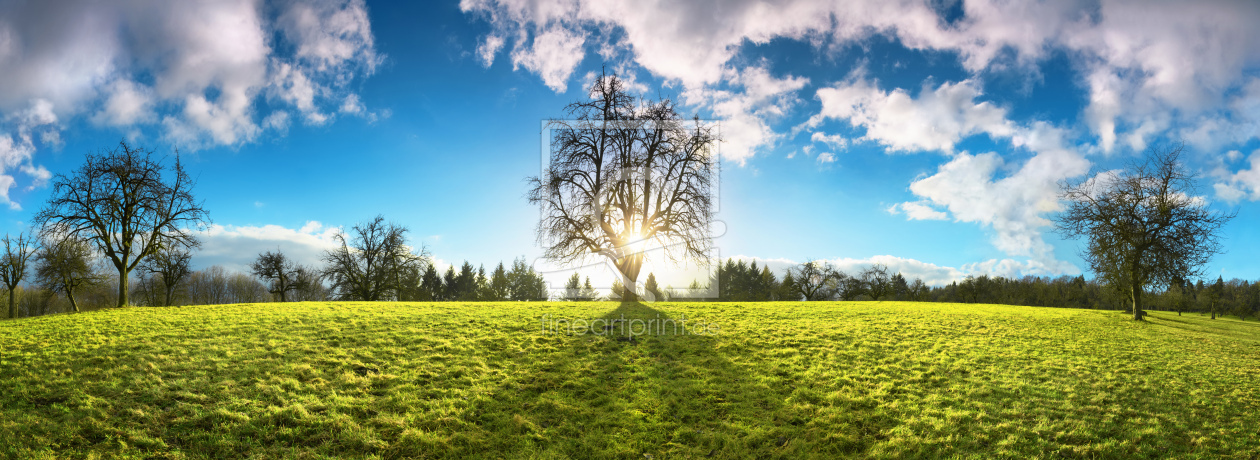 Bild-Nr.: 12690635 Wiesenlandschaft in Symmetrie bei Sonnenuntergang erstellt von Smileus