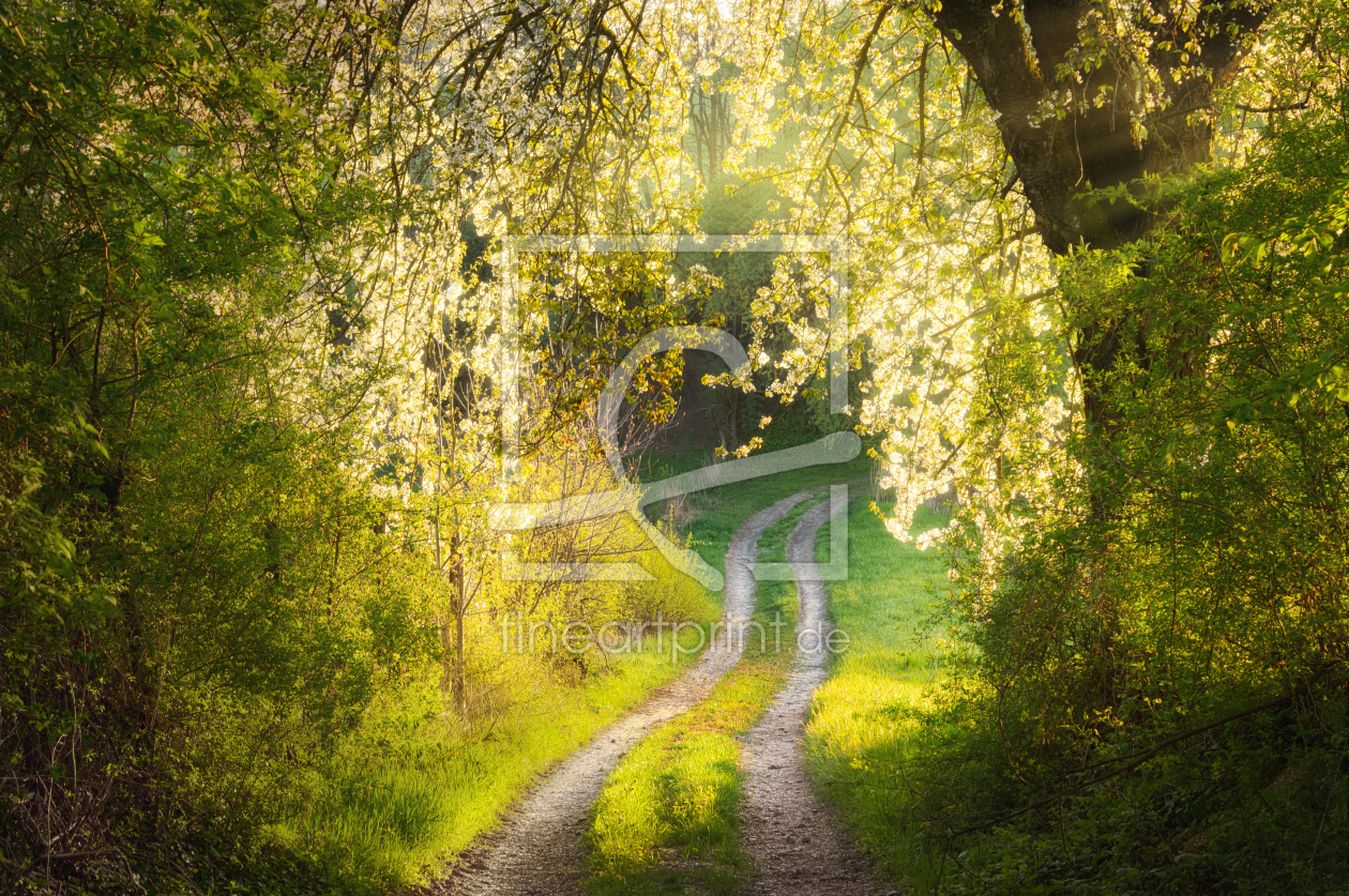 Bild-Nr.: 12691561 Verträumte Frühlingslandschaft mit blühenden Baum erstellt von Smileus