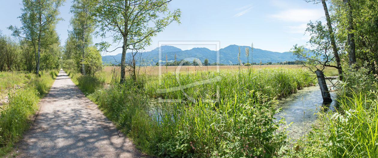 Bild-Nr.: 12698979 Wanderweg Benediktbeuern  erstellt von SusaZoom