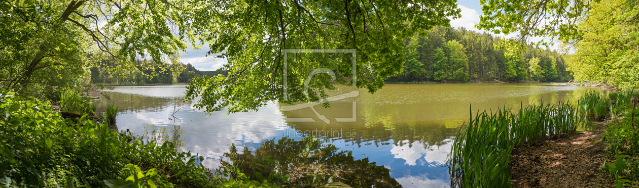 Bild-Nr.: 12701482 Frühling am See erstellt von SusaZoom