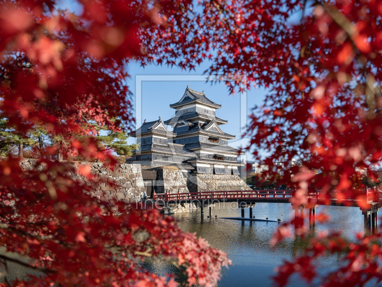 Bild-Nr.: 12701762 Burg Matsumoto im Herbst erstellt von eyetronic