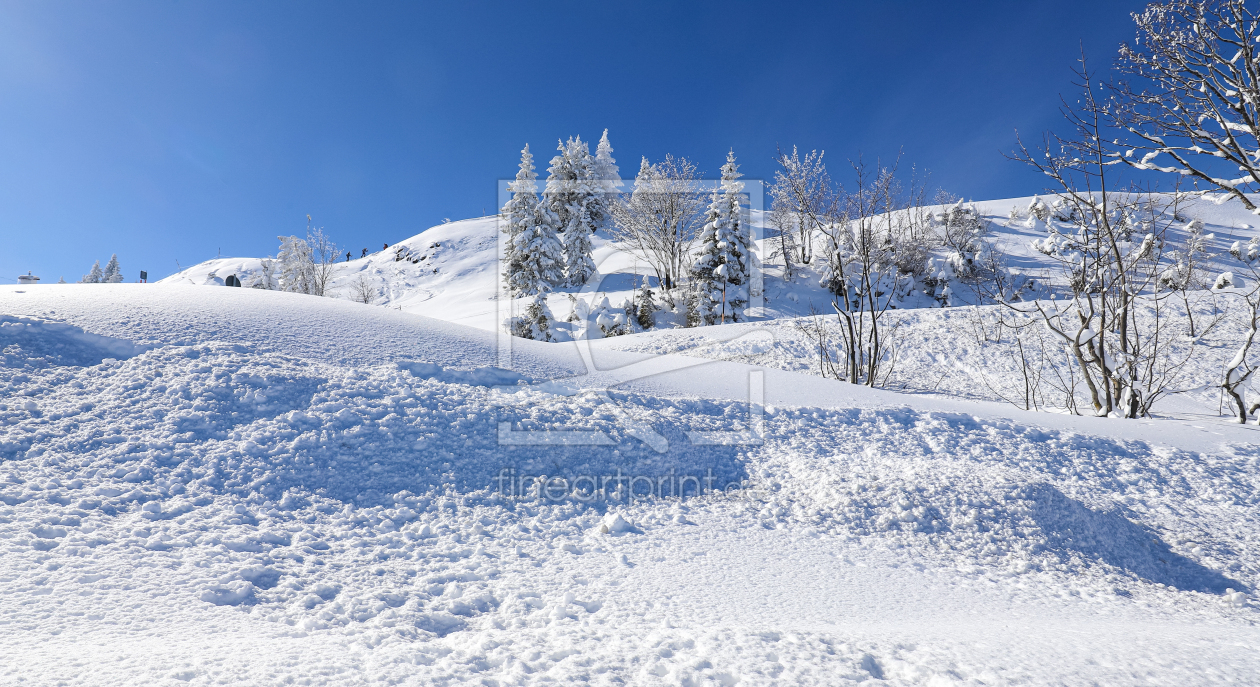 Bild-Nr.: 12707025 Winterwonderland erstellt von Amazone54