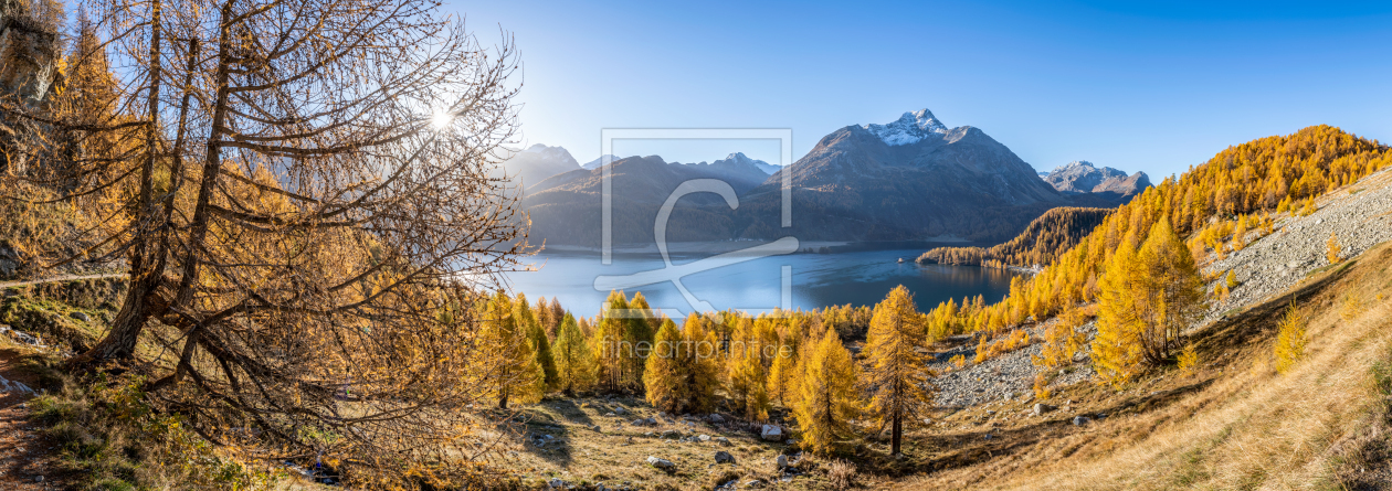 Bild-Nr.: 12712016 Silsersee im Herbst erstellt von eyetronic