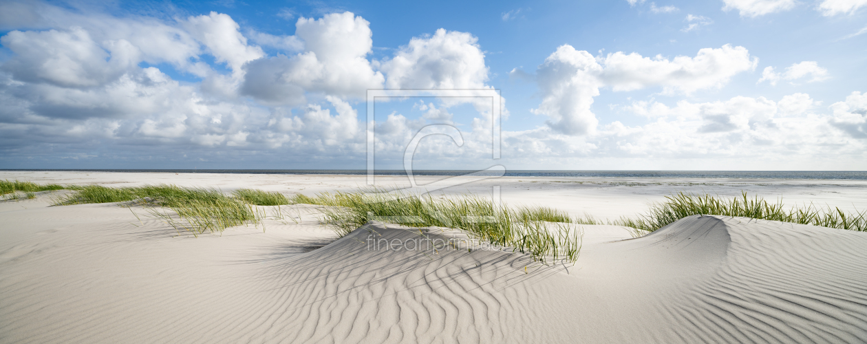Bild-Nr.: 12712162 Dünen am Meer erstellt von eyetronic