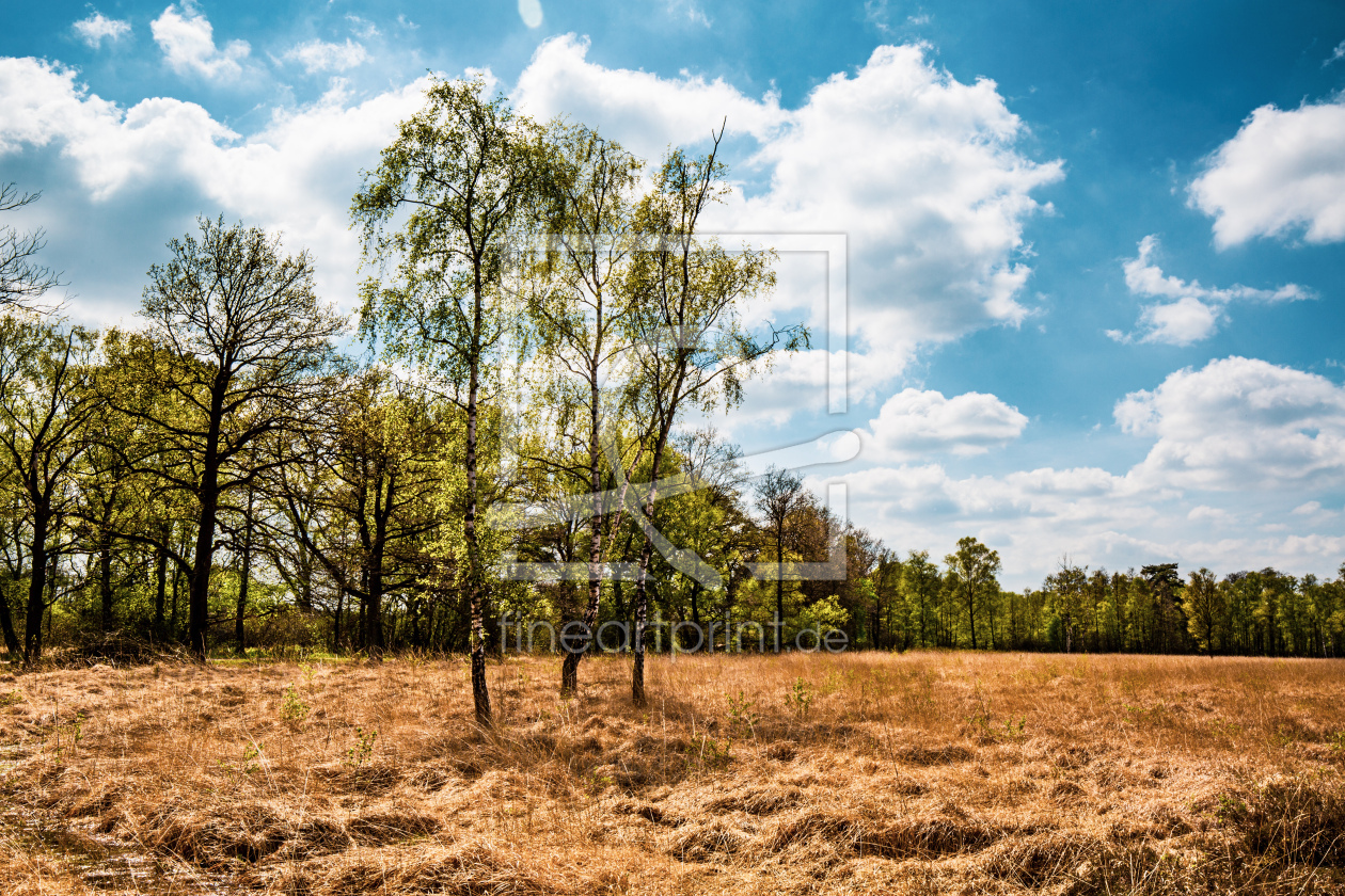 Bild-Nr.: 12713063 MOORLANDSCHAFT erstellt von Ursula Reins