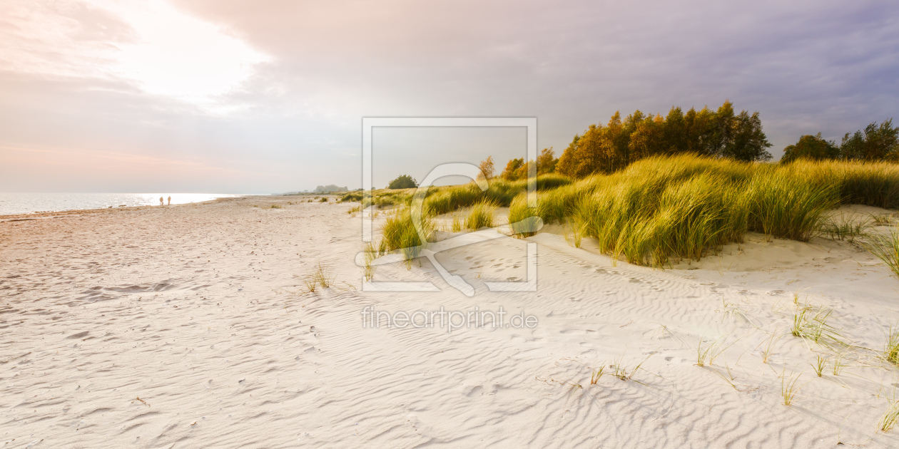 Bild-Nr.: 12713340 Stranddünen im Licht    erstellt von Ursula Reins