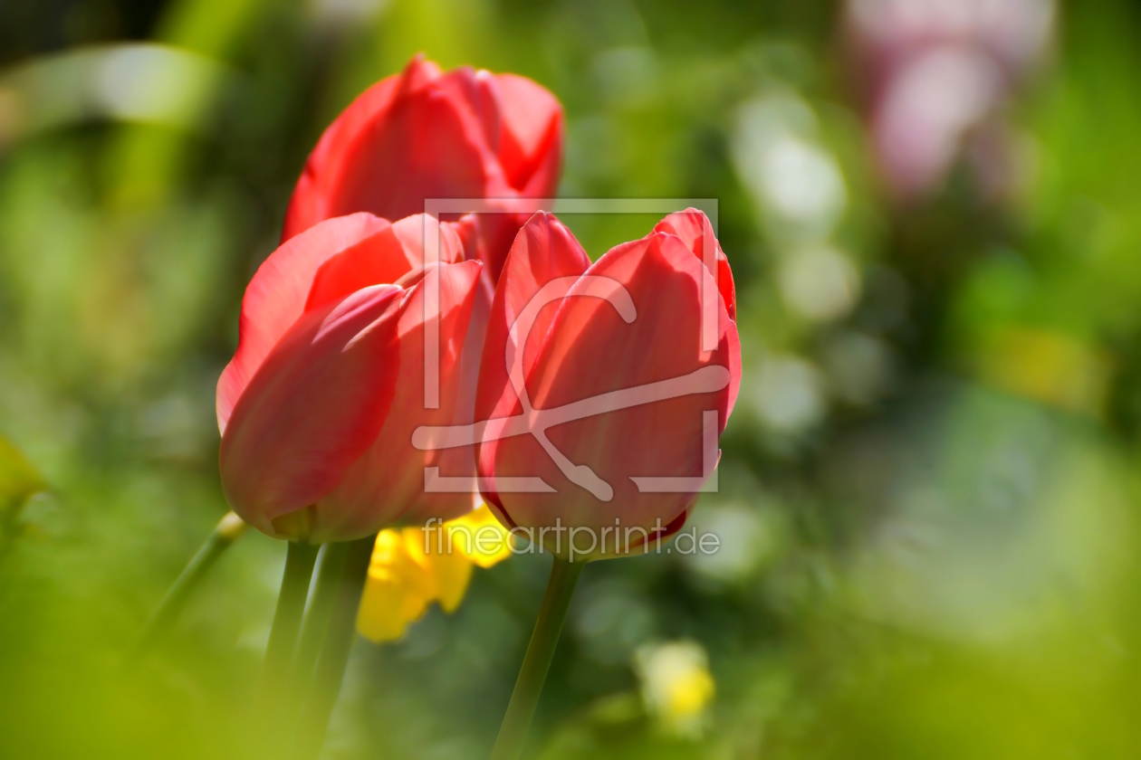 Bild-Nr.: 12715747 Gartenfrische erstellt von youhaveadream