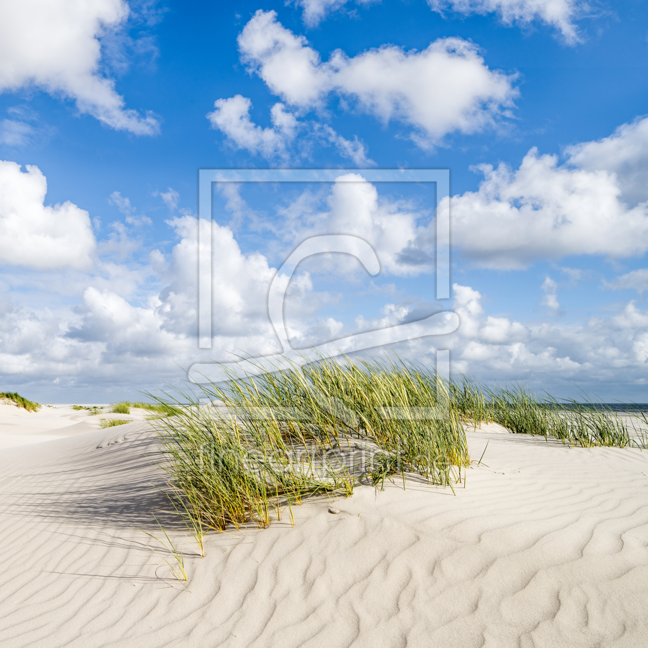 Bild-Nr.: 12715773 Dünenstrand an der Nordseeküste erstellt von eyetronic
