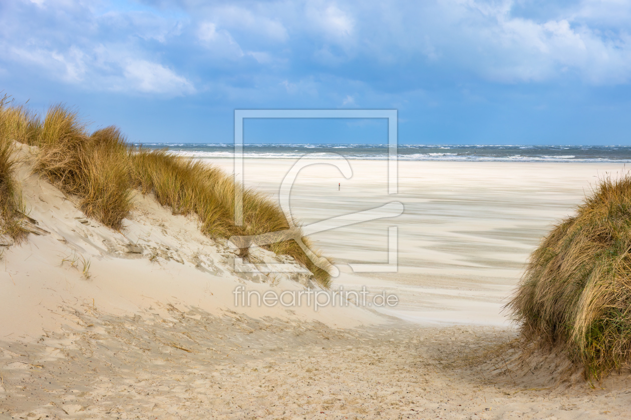 Bild-Nr.: 12717428 Strand auf Texel erstellt von Daniela Beyer