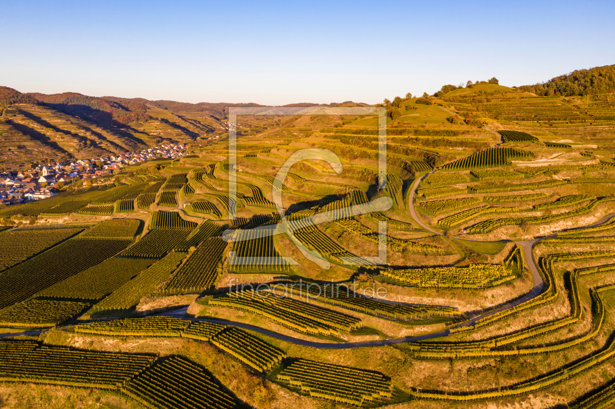 Bild-Nr.: 12722579 Luftbild Weinberge Vogtsburg im Kaiserstuhl erstellt von dieterich