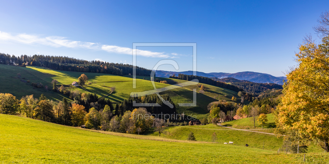 Bild-Nr.: 12723010 Landschaft bei Sankt Peter im Schwarzwald erstellt von dieterich