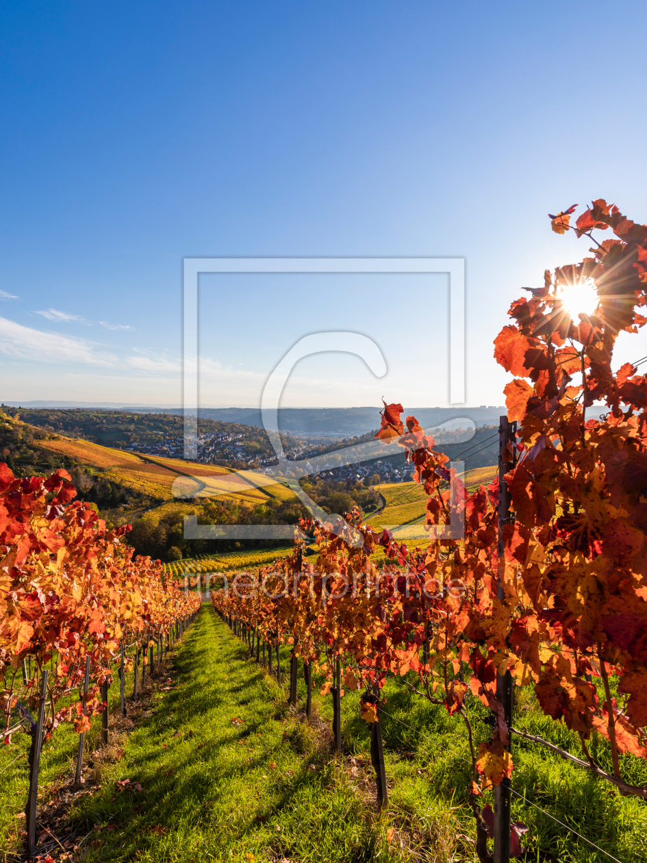 Bild-Nr.: 12723013 Weinberge in Stuttgart im Herbst erstellt von dieterich