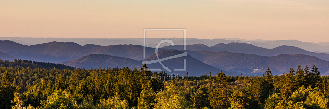 Bild-Nr.: 12723017 Nationalpark Schwarzwald beim Schliffkopf   erstellt von dieterich