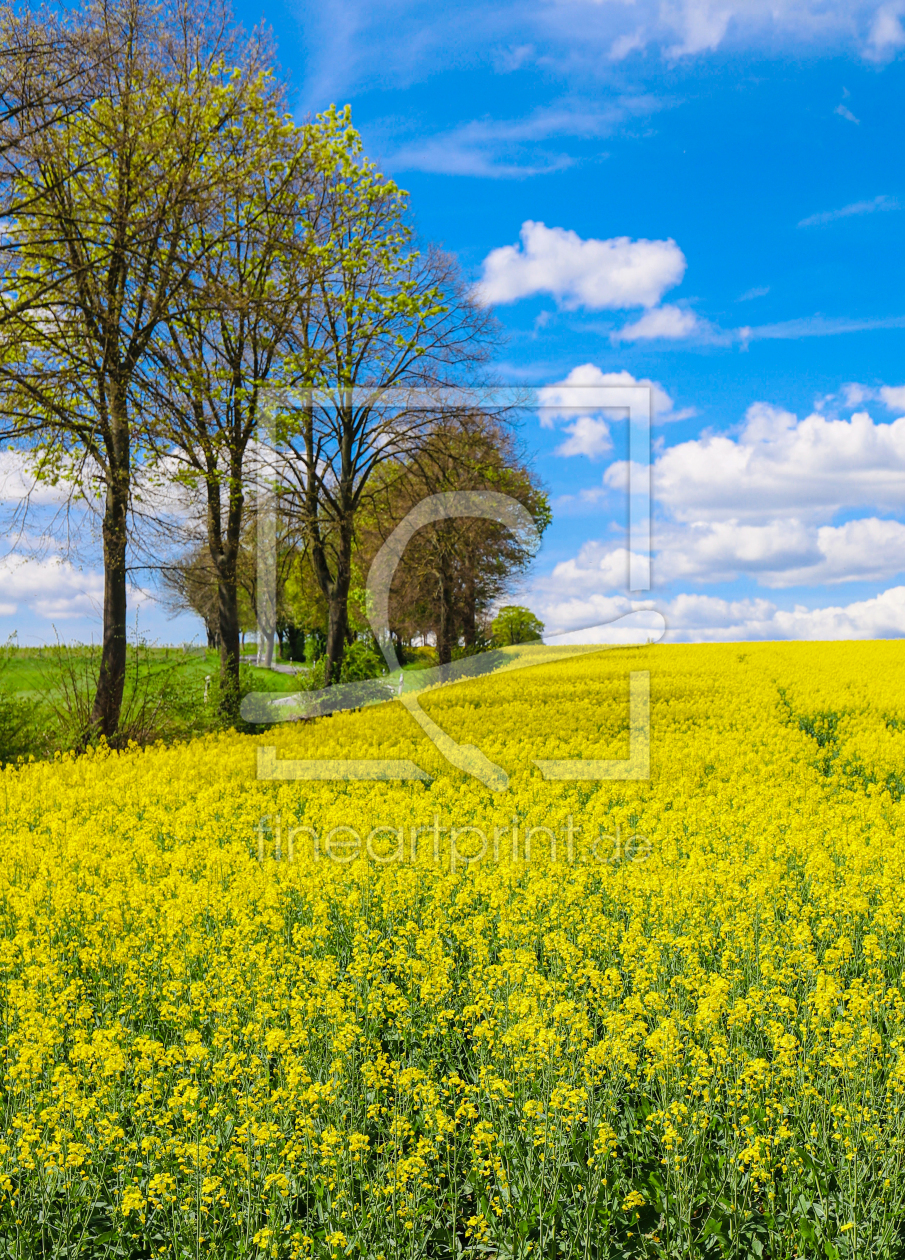 Bild-Nr.: 12723517 Springtime erstellt von Amazone54