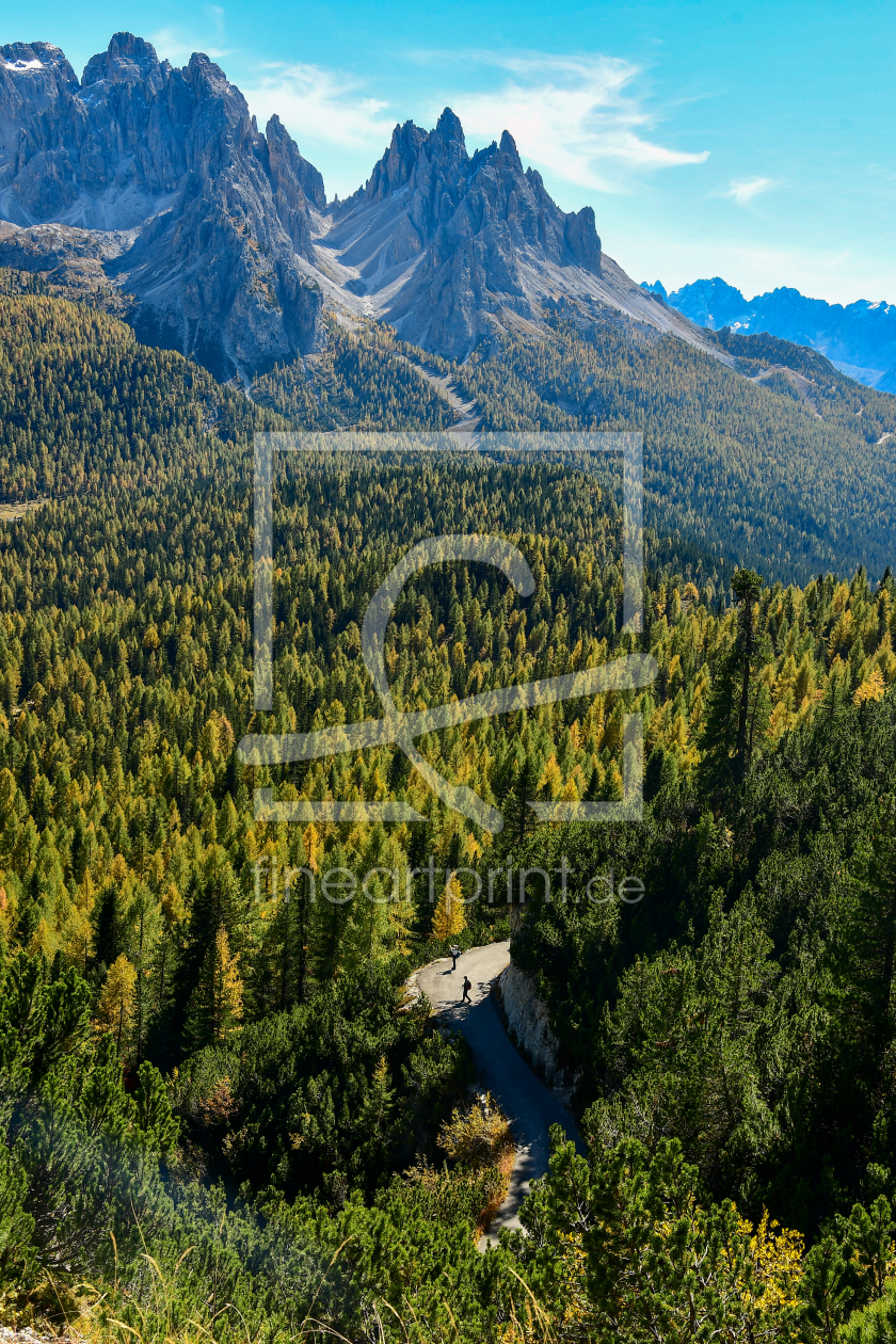 Bild-Nr.: 12724232 Dolomitenwald erstellt von Bettina Schnittert