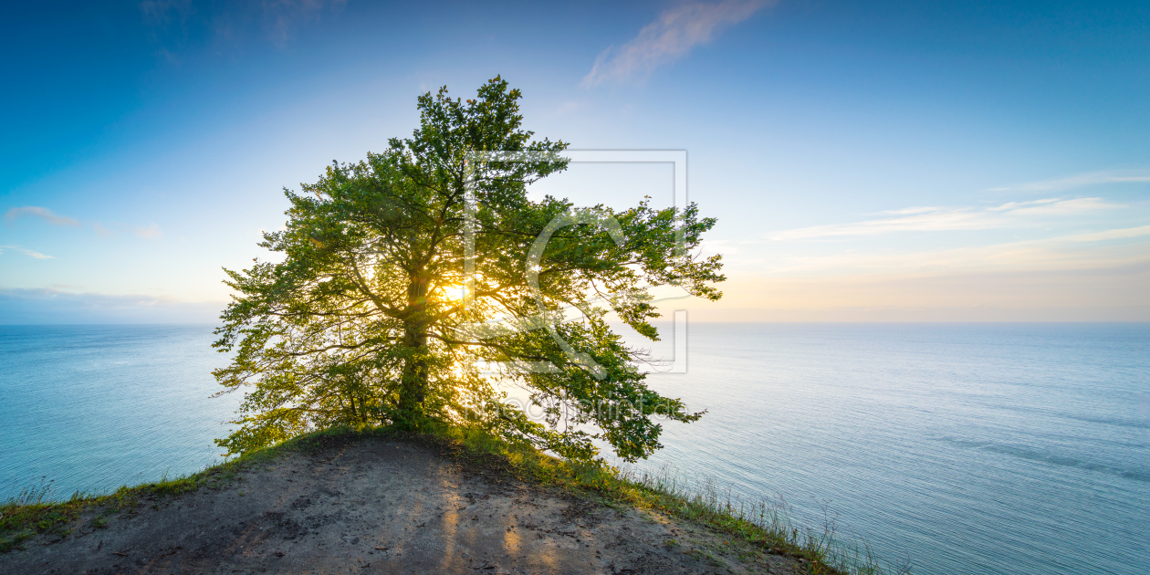 Bild-Nr.: 12729816 Sonnenaufgang an der Kreideküste erstellt von Martin Wasilewski