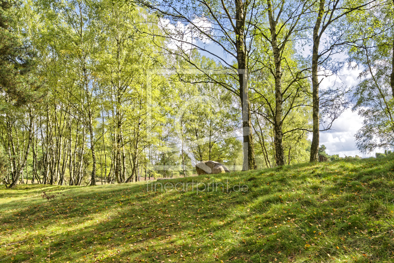 Bild-Nr.: 12733681 Sonnenaufgang im Wald erstellt von XYRIUS