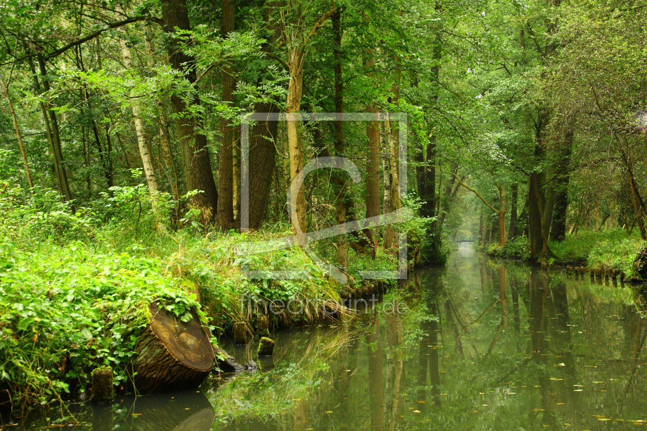 Bild-Nr.: 12734409 Spreewald  erstellt von Gerhard Albicker