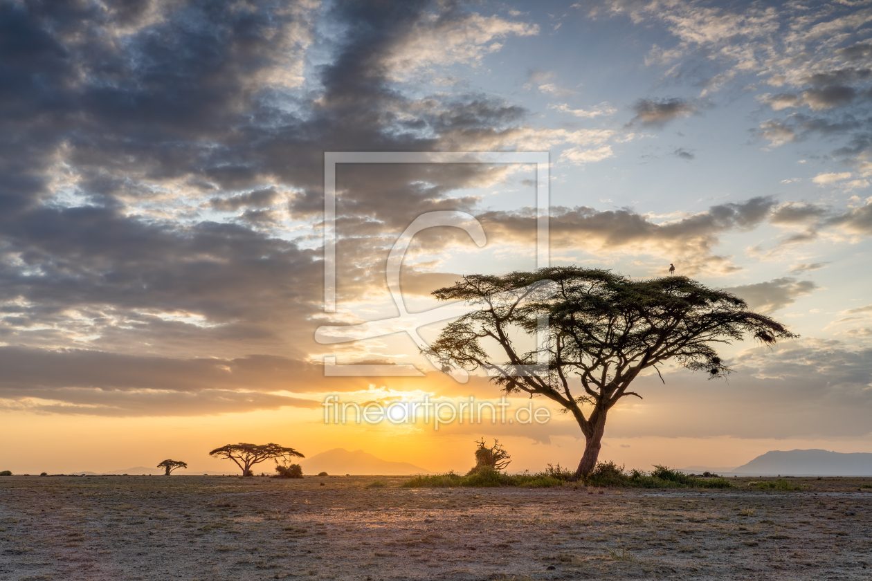 Bild-Nr.: 12734746 Sonnenuntergang im Amboseli Nationalpark erstellt von eyetronic