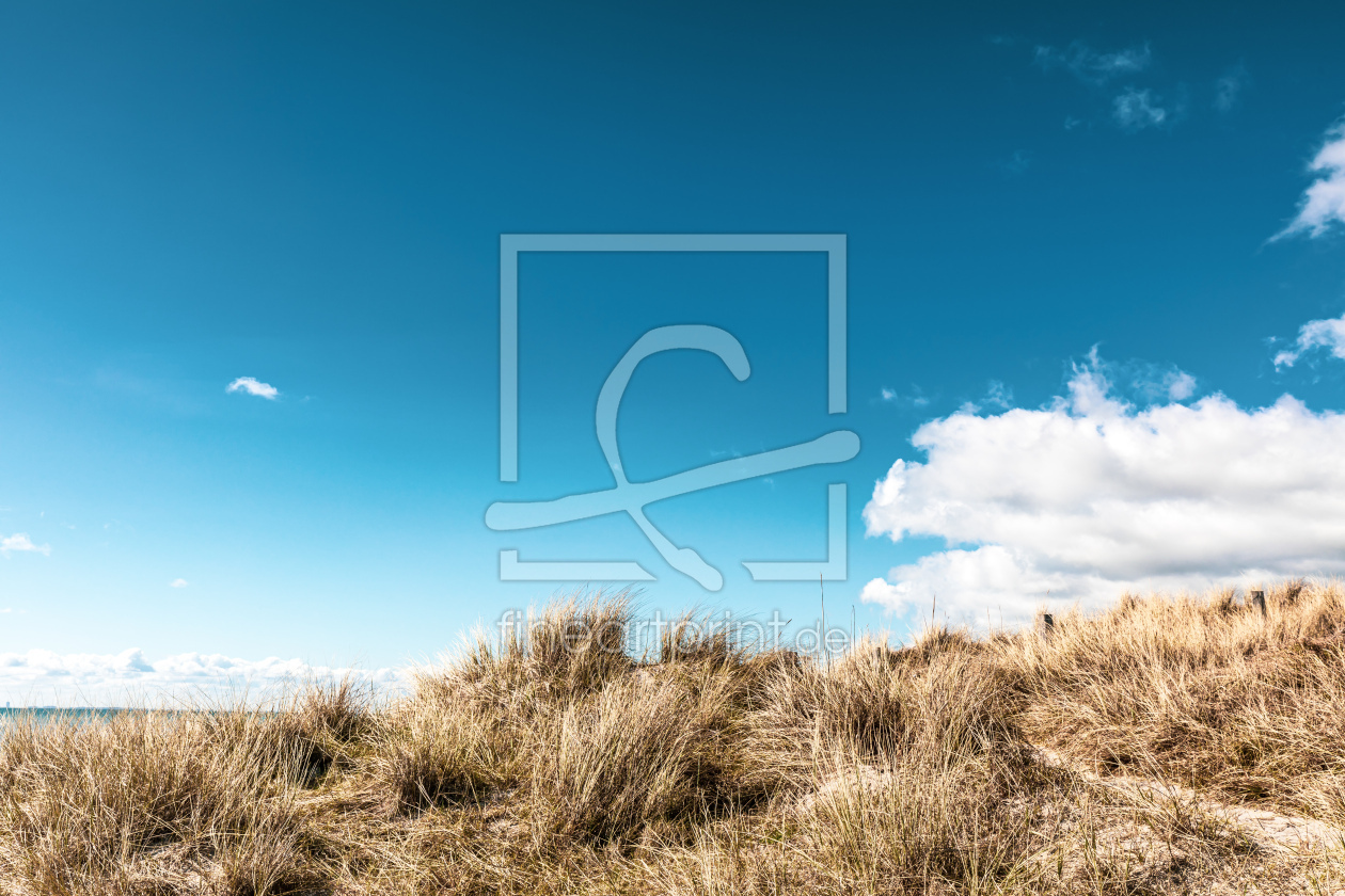 Bild-Nr.: 12735201 Ostsee Stranddünen    erstellt von Ursula Reins