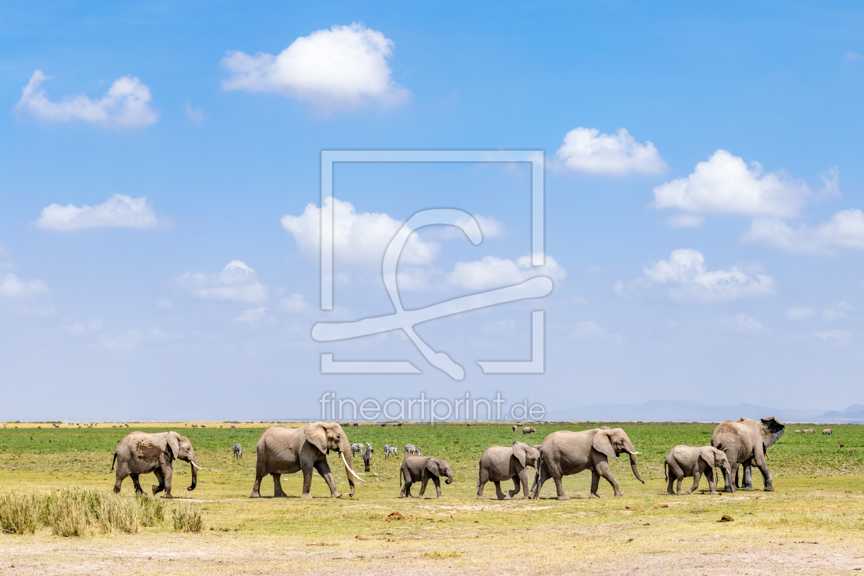 Bild-Nr.: 12735239 Elefantenherde im Ambosli Nationalpark in Kenia erstellt von eyetronic