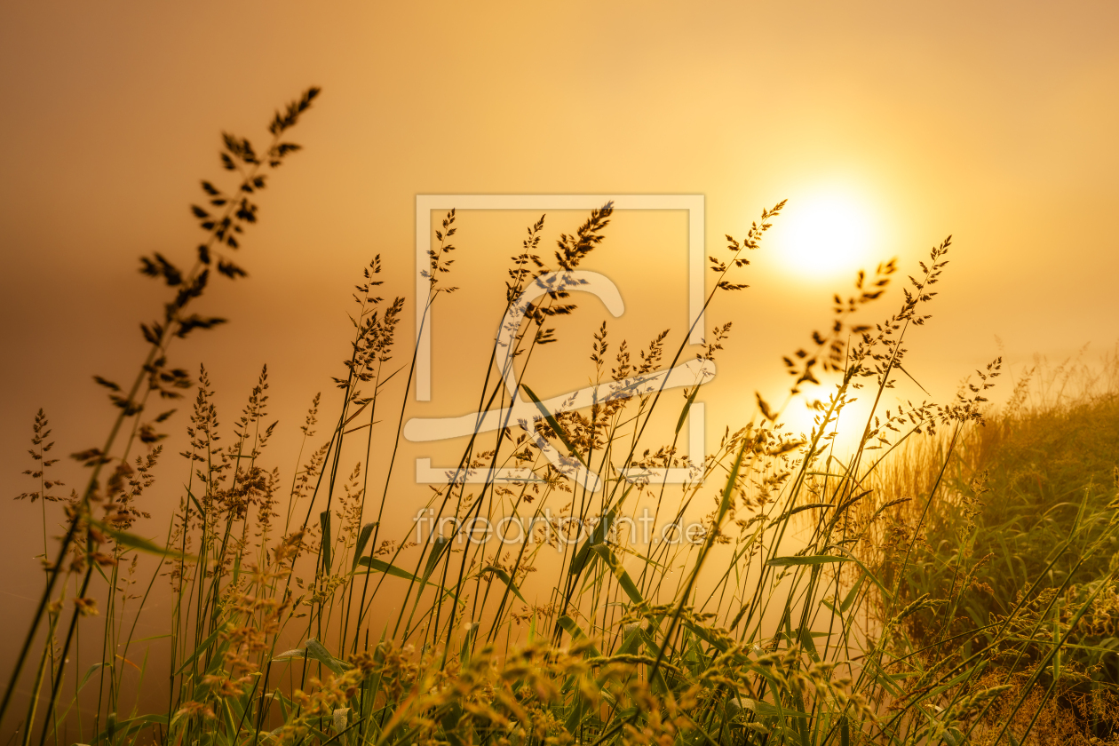 Bild-Nr.: 12735449 Stimmung am See  erstellt von Steffen Henze
