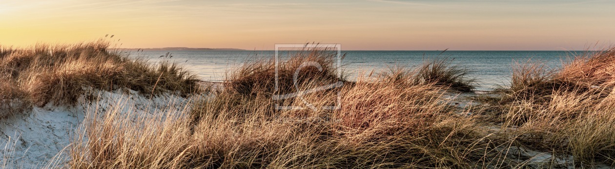 Bild-Nr.: 12736993 Stranddünen und Meer  erstellt von Ursula Reins