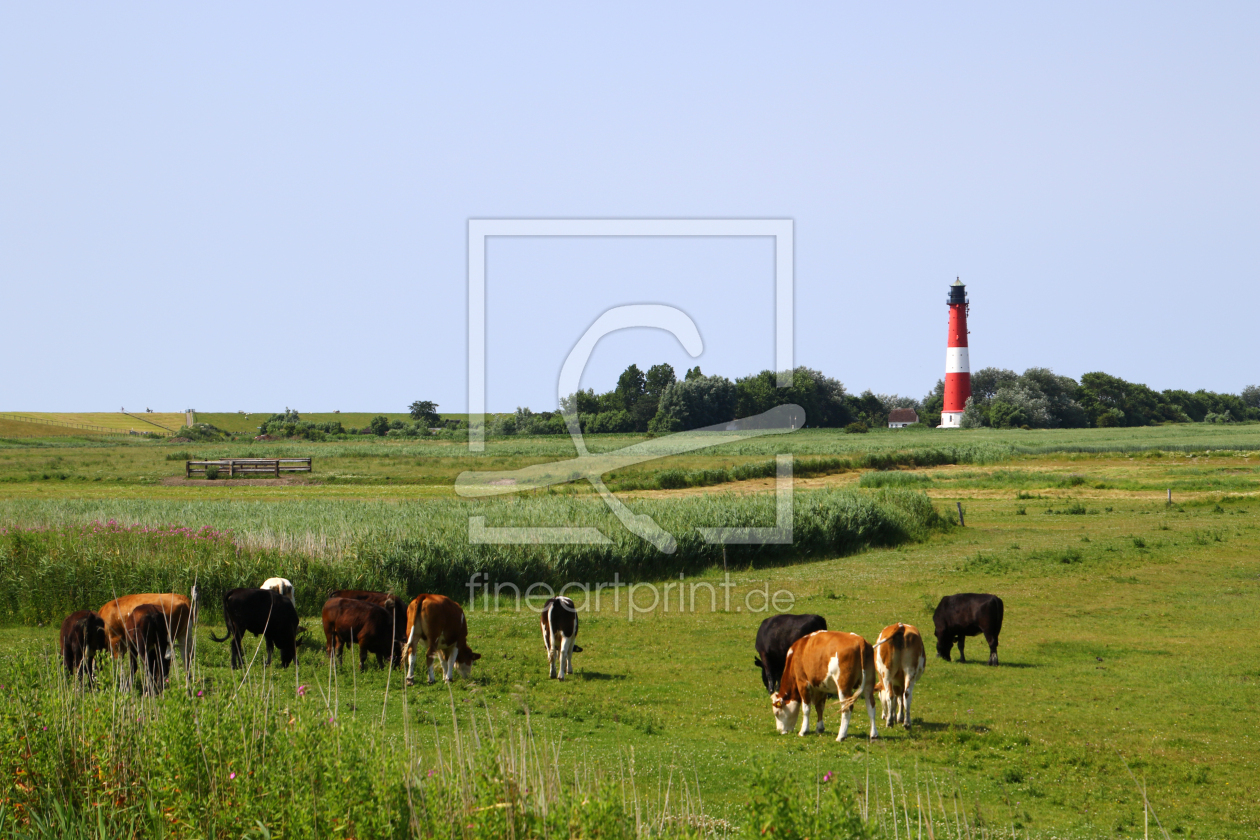 Bild-Nr.: 12737823 Pellworm erstellt von Gerhard Albicker