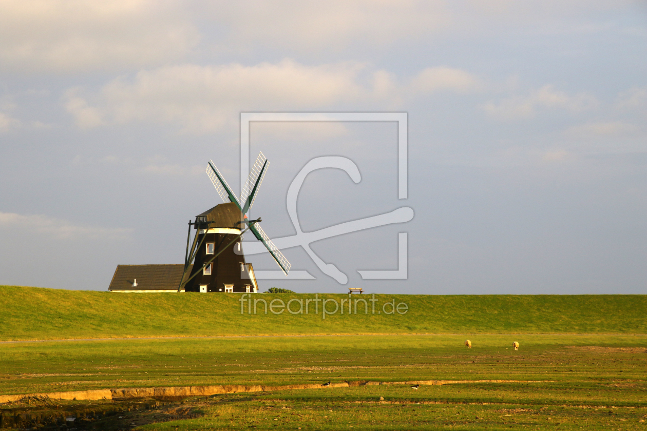 Bild-Nr.: 12737834 Pellworm erstellt von Gerhard Albicker