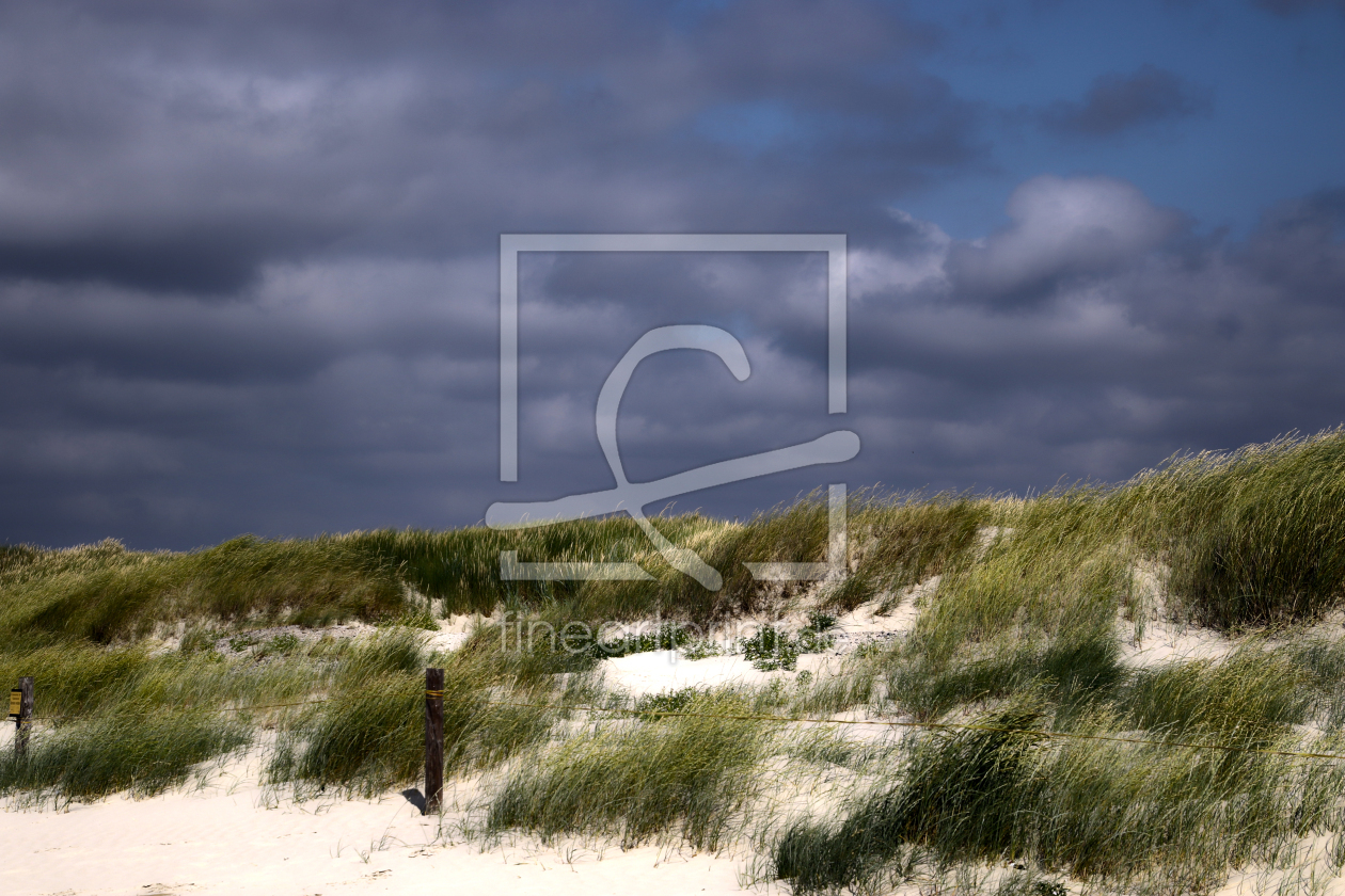 Bild-Nr.: 12737836 Strandhafer  erstellt von Gerhard Albicker