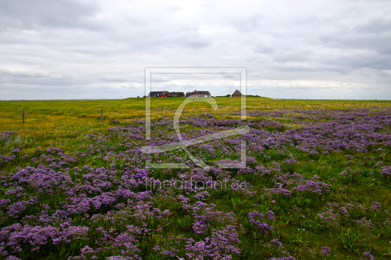 Bild-Nr.: 12738247 Hallig Gröde erstellt von Gerhard Albicker