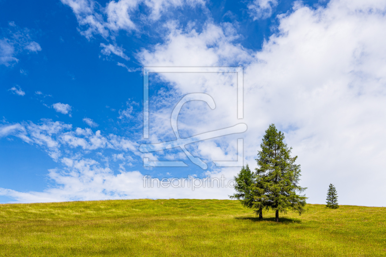 Bild-Nr.: 12739617 Landschaft in den Buckelwiesen bei Mittenwald erstellt von Rico Ködder