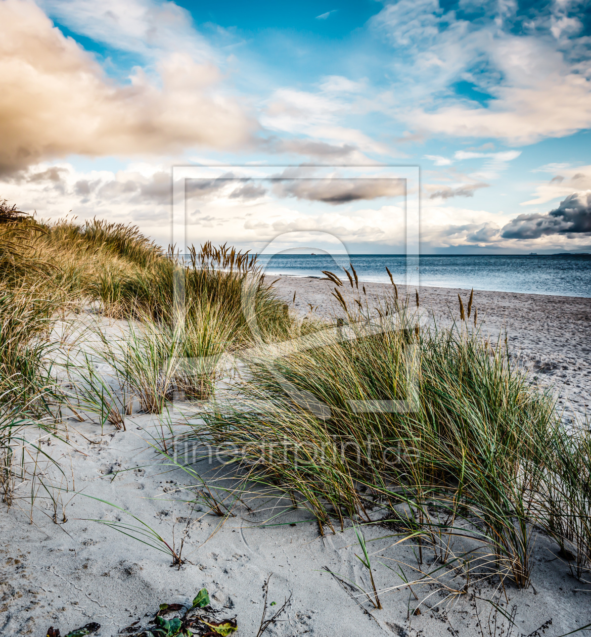Bild-Nr.: 12739797 Am Dünenstrand erstellt von Werner Reins