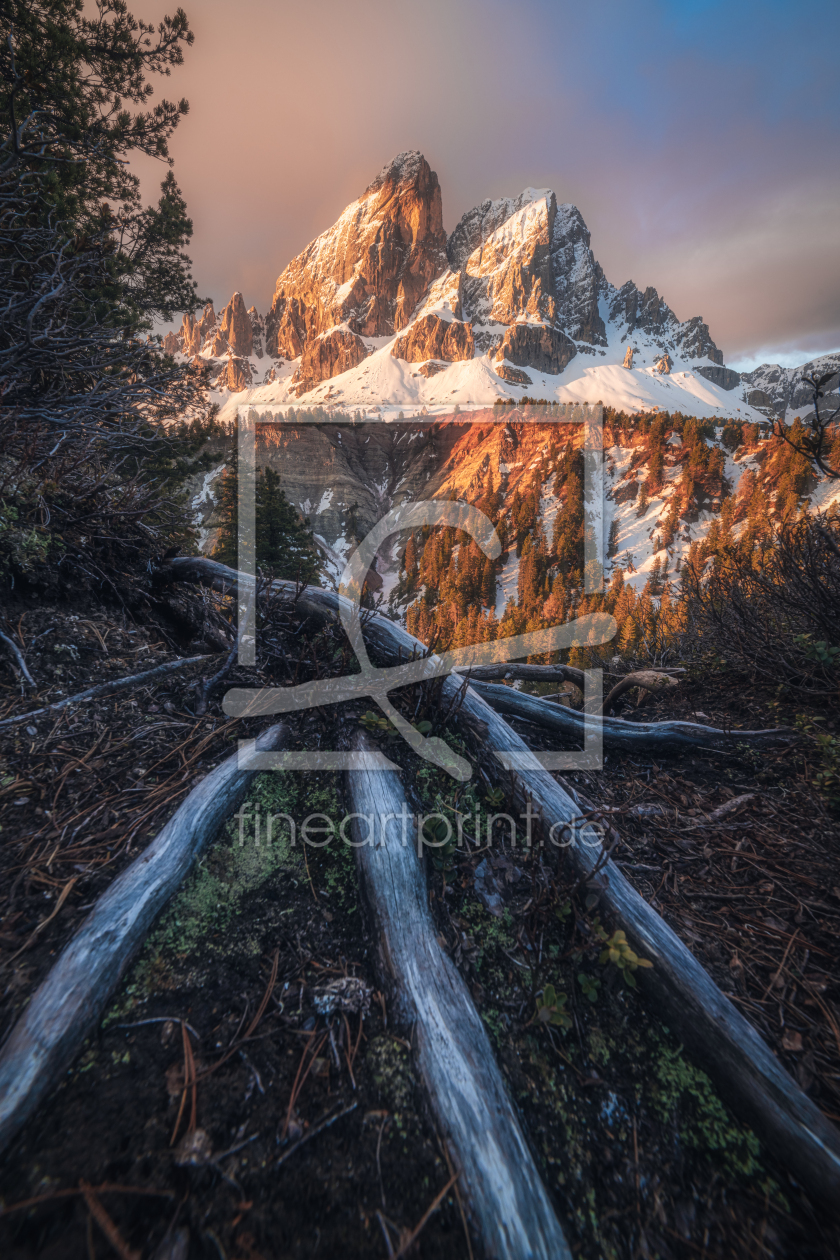 Bild-Nr.: 12740056 Dolomiten Sonnenaufgang am Würzjoch erstellt von Jean Claude Castor