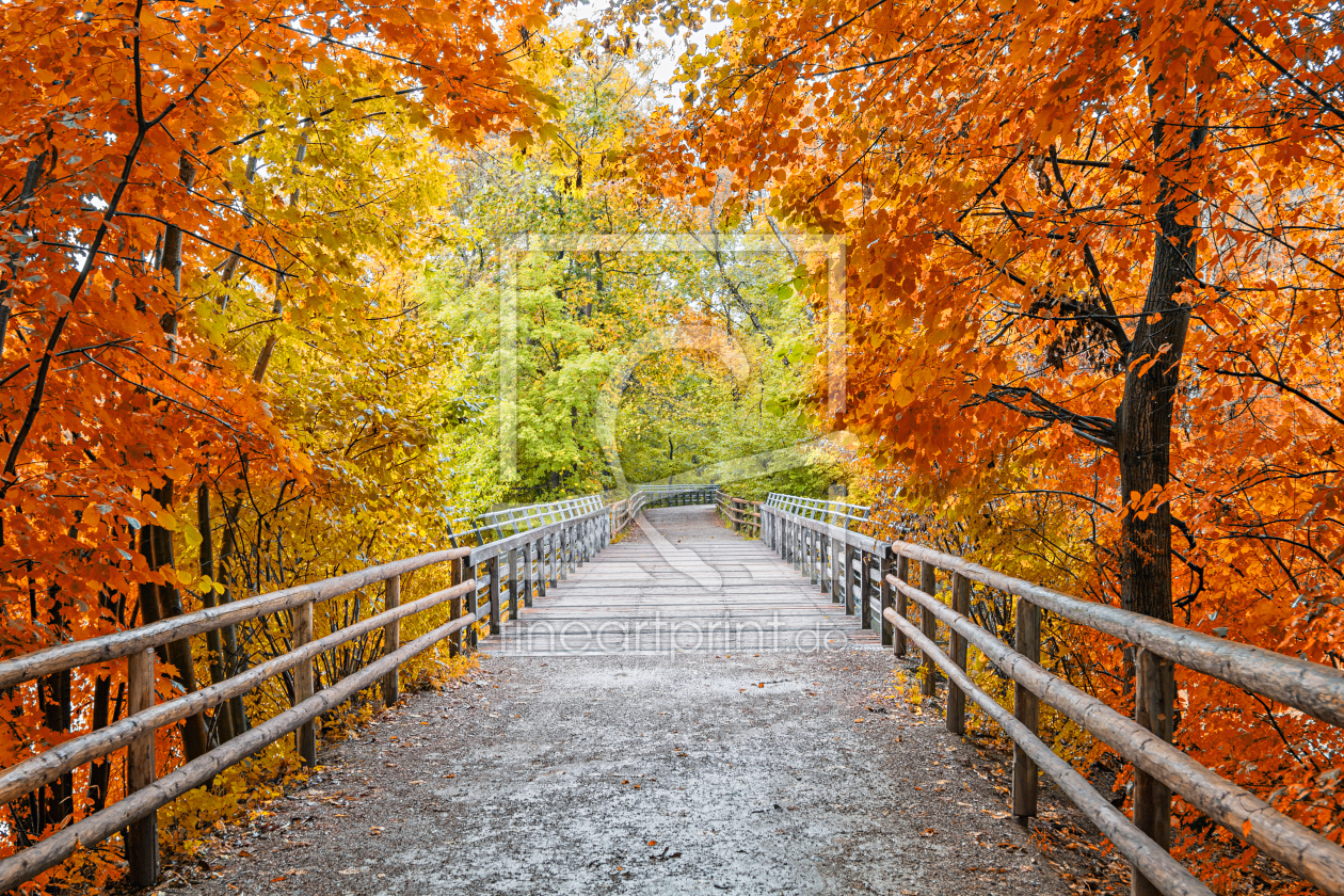 Bild-Nr.: 12741674 Brücke im Herbstwald erstellt von SusaZoom